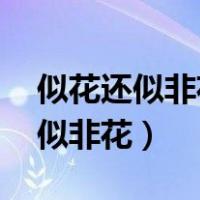 似花还似非花 也无人惜从教坠拼音（似花还似非花）