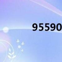 95590网站查询保单（95590）