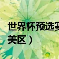 世界杯预选赛南美区预选赛（世界杯预选赛南美区）