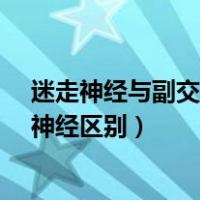 迷走神经与副交感神经的区别是什么?（迷走神经和副交感神经区别）