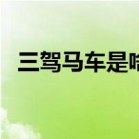 三驾马车是啥意思（三驾马车是什么意思）