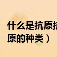 什么是抗原抗原的种类和作用（什么是抗原抗原的种类）