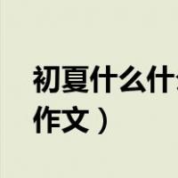 初夏什么什么的味道作文（什么什么的味道 作文）