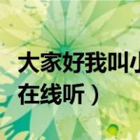 大家好我叫小莫在线听歌词（大家好我叫小莫在线听）