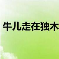 牛儿走在独木桥打一字（牛走独木桥打一字）