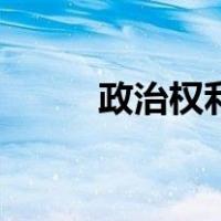 政治权利指的是什么（政治权利）