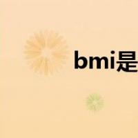 bmi是什么组织（bmi是什么）