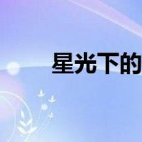 星光下的童话豆瓣（星光下的童话）