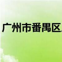 广州市番禺区广州大学城外环西路100号图片