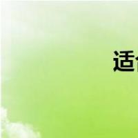 适合年会大合唱的歌曲