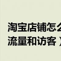 淘宝店铺怎么做流量和访客才更多（淘宝店铺流量和访客）