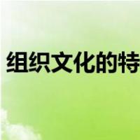 组织文化的特征包括哪些（组织文化的特征）