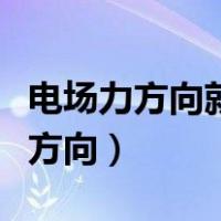 电场力方向就是场强方向（电场力方向与场强方向）