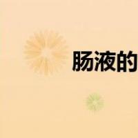 肠液的主要成分是什么（肠液）