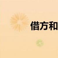 借方和贷方是什么意思（借方）