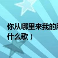 你从哪里来我的朋友是什么歌作者（你从哪里来我的朋友是什么歌）