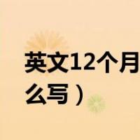 英文12个月份单词怎么写（月份单词12个怎么写）
