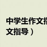 中学生作文指导是什么级别的期刊（中学生作文指导）