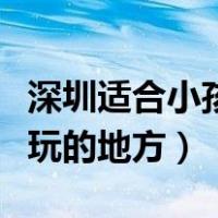 深圳适合小孩玩的地方前十名（深圳适合小孩玩的地方）