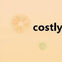 costly什么意思中文（costly）