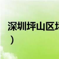 深圳坪山区坪山高级中学（坪山高级中学官网）
