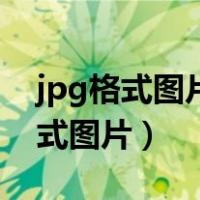 jpg格式图片怎么打开软件（怎么打开jpg格式图片）
