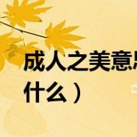 成人之美意思是什么?（成人之美的美意思是什么）
