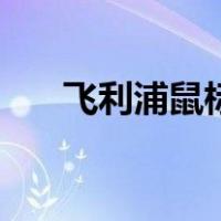 飞利浦鼠标怎么拆开（鼠标怎么拆开）