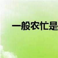 一般农忙是什么时候（农忙时什么时候）