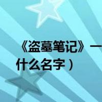 《盗墓笔记》一共有几部?（盗墓笔记一共有多少部每部叫什么名字）