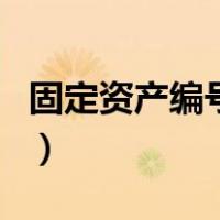 固定资产编号怎么编号（固定资产编号怎么编）