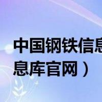 中国钢铁信息库官网在哪里下载（中国钢铁信息库官网）