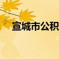 宣城市公积金中心官网（宣城市公积金）