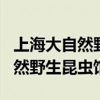 上海大自然野生昆虫馆需要预约吗（上海大自然野生昆虫馆）