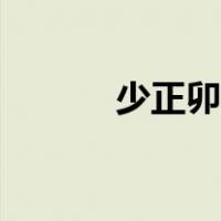 少正卯宣扬什么思想（少正卯）