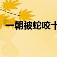 一朝被蛇咬十年怕井绳的意思是体现的联觉