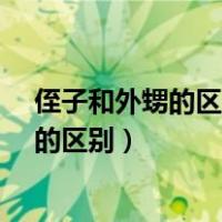 侄子和外甥的区别上海疫情最新情况怎么样?（侄子和外甥的区别）