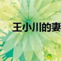王小川的妻子是谁（王小川老婆宋薇薇）