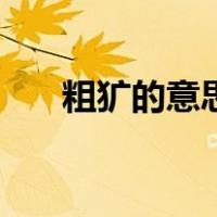 粗犷的意思是啥（粗犷的意思是什么）
