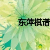 东萍棋谱仓库使用（东萍棋谱仓库）