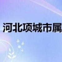 河北项城市属于哪个市（项城市属于哪个市）