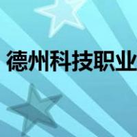 德州科技职业学校代码（德州科技职业学校）