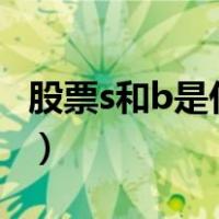 股票s和b是什么意思T（股票s和b是什么意思）
