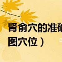 肾俞穴的准确位置图穴位（肾俞穴的准确位置图穴位）