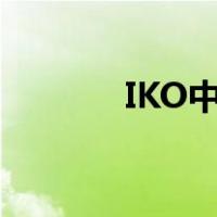 IKO中国（iko官网中国官网）