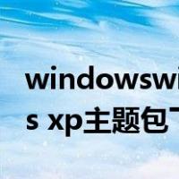 windowswindows主题包主题包（windows xp主题包下载）
