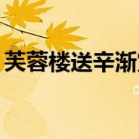 芙蓉楼送辛渐赏析20字（芙蓉楼送辛渐赏析）