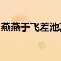 燕燕于飞差池其羽之子于归远送于野瞻望弗及