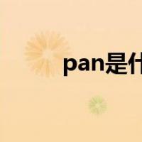 pan是什么材料（pa是什么材料）