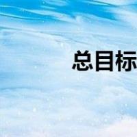 总目标和子目标教案（总目标）
